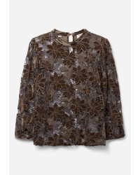 Aaiko SHAILA VELVET PES 500 190913 FUDGE