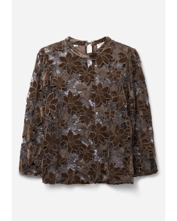 Aaiko SHAILA VELVET PES 500 190913 FUDGE