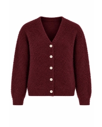 Boohtiek Vest uni Bordeaux